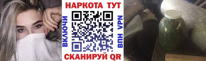 Как найти закладки Лесной СК МЕФ