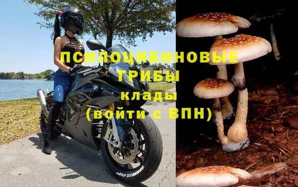 таблы Алексин